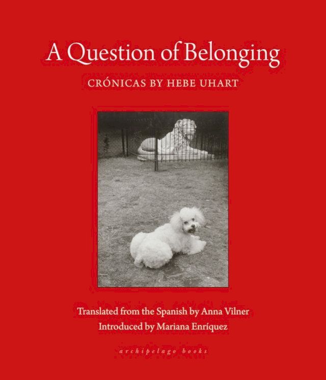  A Question of Belonging(Kobo/電子書)