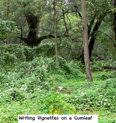 Writing Vignettes on a Gumleaf(Kobo/電子書)