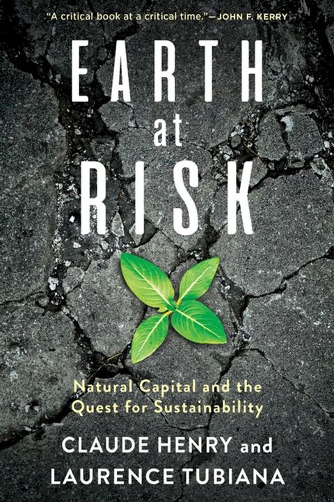 Earth at Risk(Kobo/電子書)