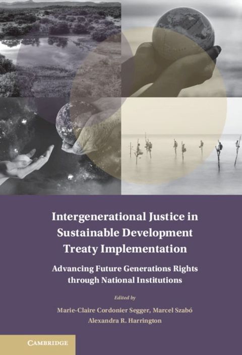 Intergenerational Justice in Sustainable Development Treaty Implementation(Kobo/電子書)