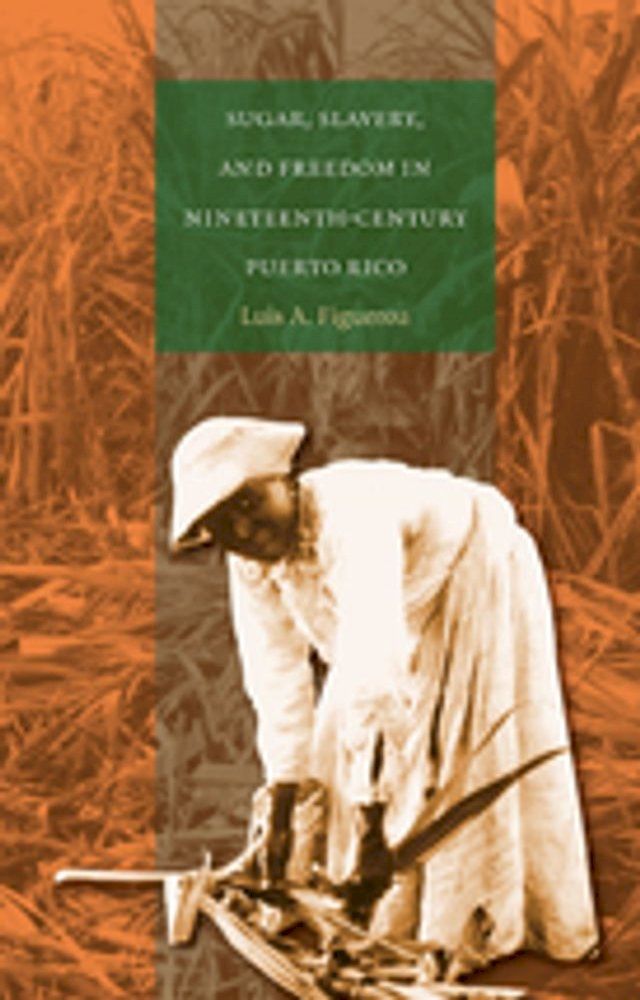  Sugar, Slavery, and Freedom in Nineteenth-Century Puerto Rico(Kobo/電子書)