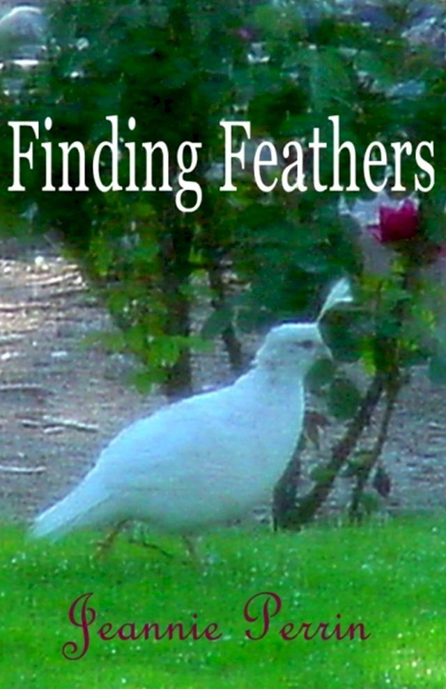  Finding Feathers(Kobo/電子書)