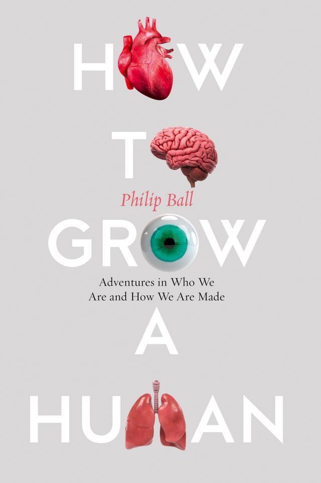  How to Grow a Human: Adventures in Who We Are and How We Are Made(Kobo/電子書)