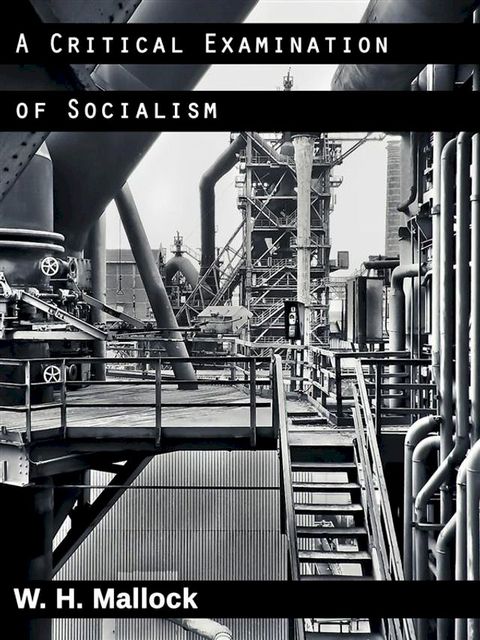 A Critical Examination of Socialism(Kobo/電子書)