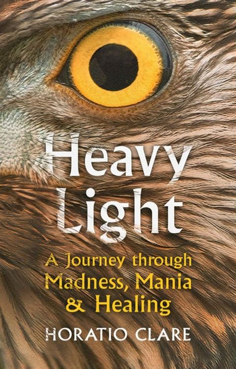 Heavy Light(Kobo/電子書)