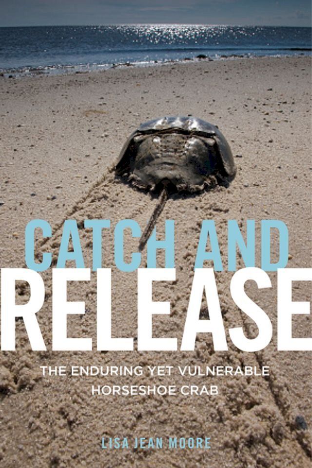  Catch and Release(Kobo/電子書)