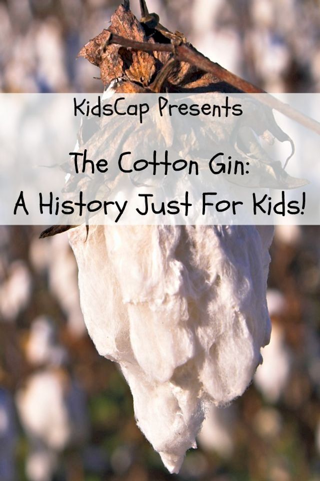  The Cotton Gin: A History Just for Kids(Kobo/電子書)