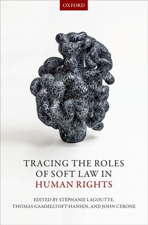 Tracing the Roles of Soft Law in Human Rights(Kobo/電子書)