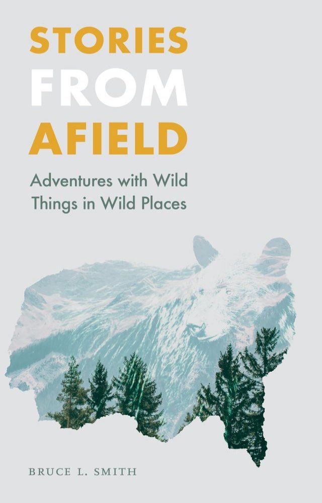  Stories from Afield(Kobo/電子書)