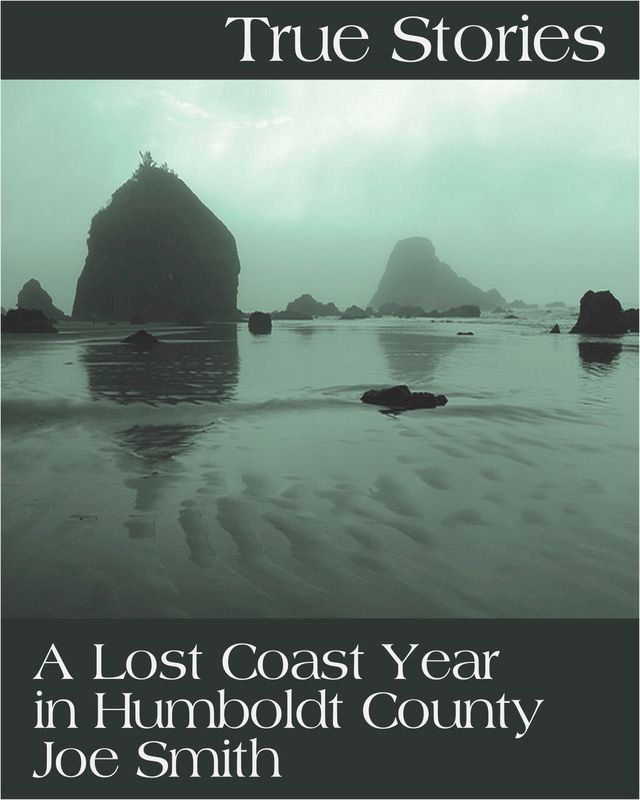  True Stories: A Lost Coast Year in Humboldt County(Kobo/電子書)