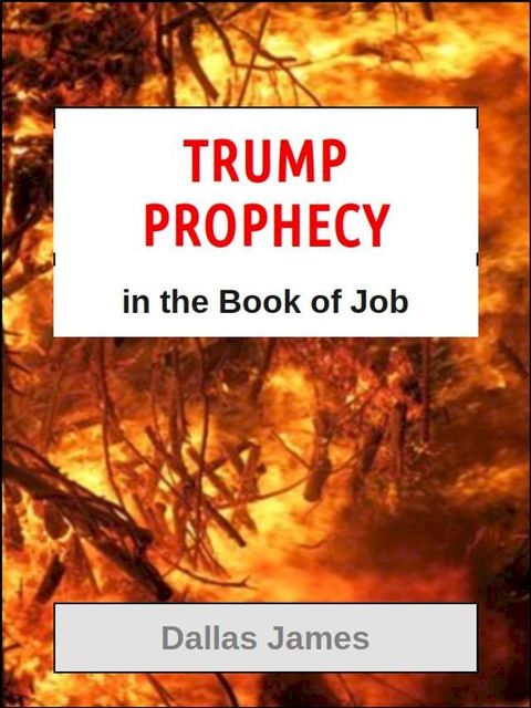 Trump Prophecy in the Book of Job(Kobo/電子書)