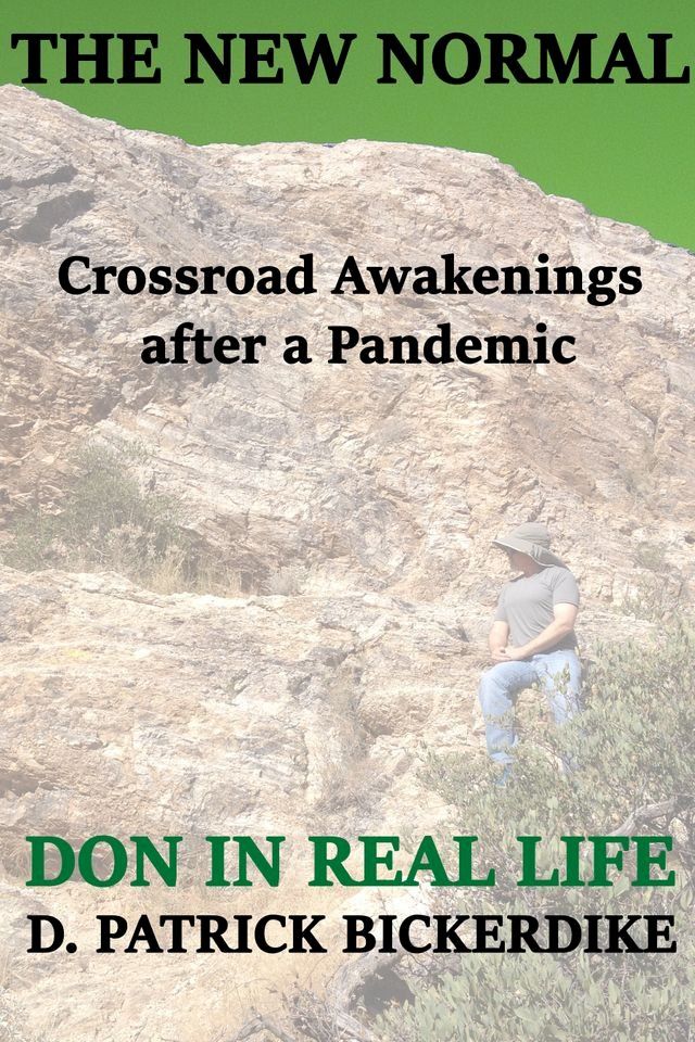  The New Normal: Crossroad Awakenings After a Pandemic: Don in Real Life Book 2(Kobo/電子書)