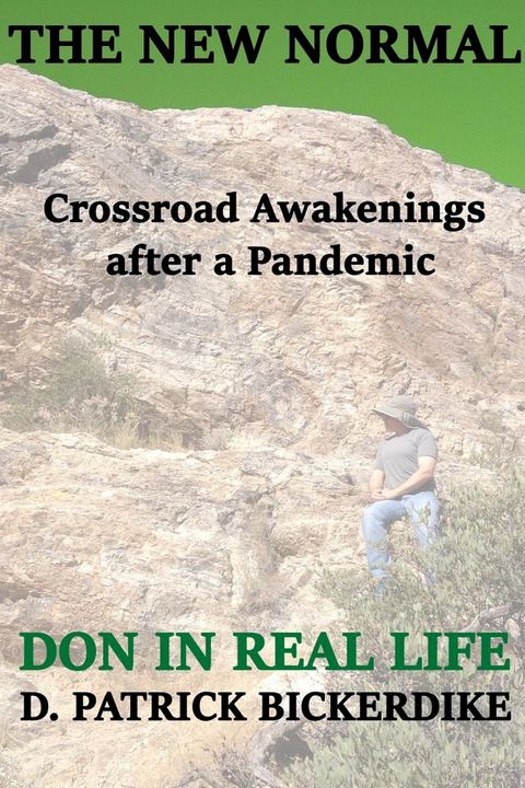 The New Normal: Crossroad Awakenings After a Pandemic: Don in Real Life Book 2(Kobo/電子書)