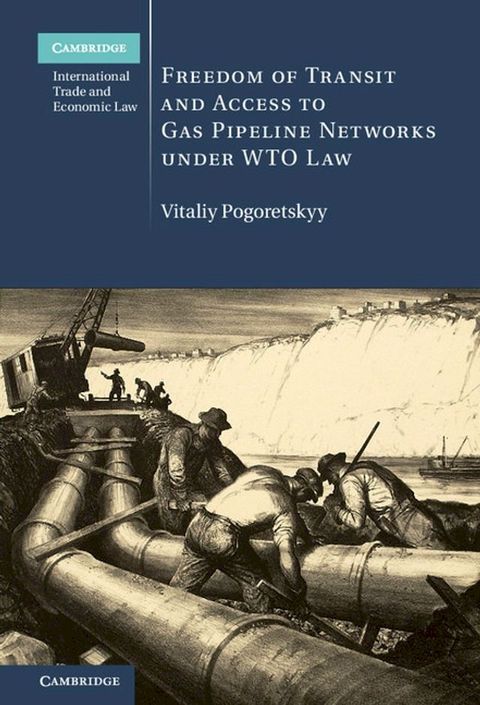 Freedom of Transit and Access to Gas Pipeline Networks under WTO Law(Kobo/電子書)