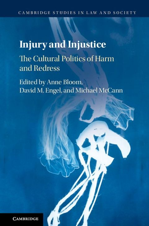 Injury and Injustice(Kobo/電子書)