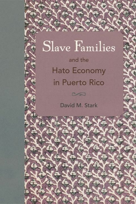 Slave Families and the Hato Economy in Puerto Rico(Kobo/電子書)