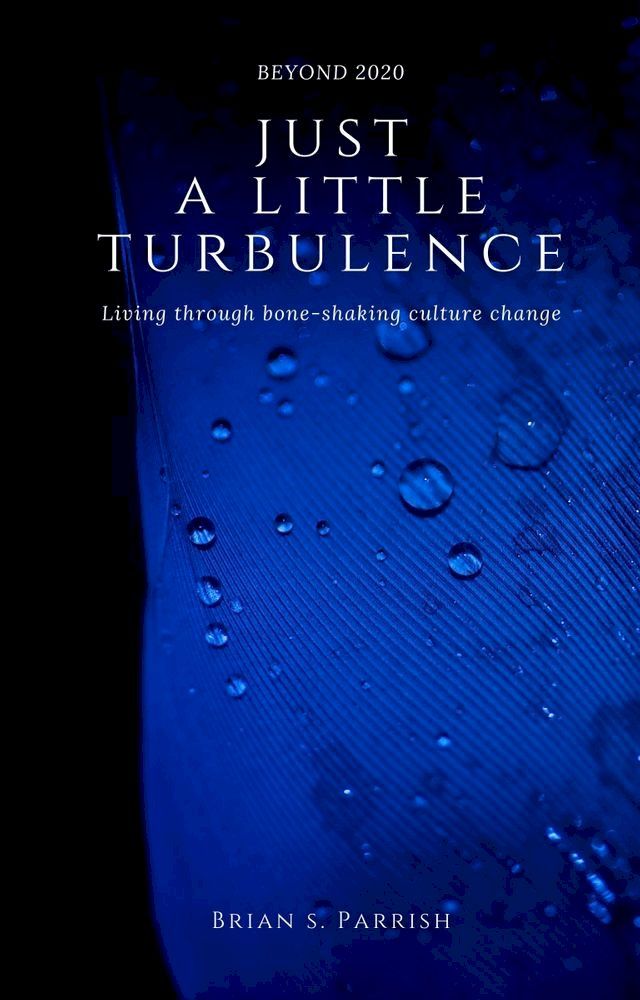  Just a Little Turbulence: Living Through Bone-Shaking Culture Change(Kobo/電子書)