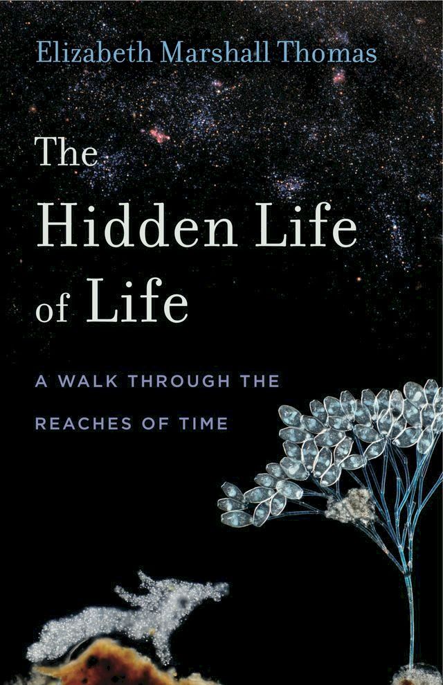  The Hidden Life of Life(Kobo/電子書)