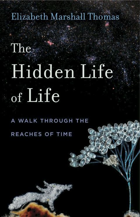 The Hidden Life of Life(Kobo/電子書)