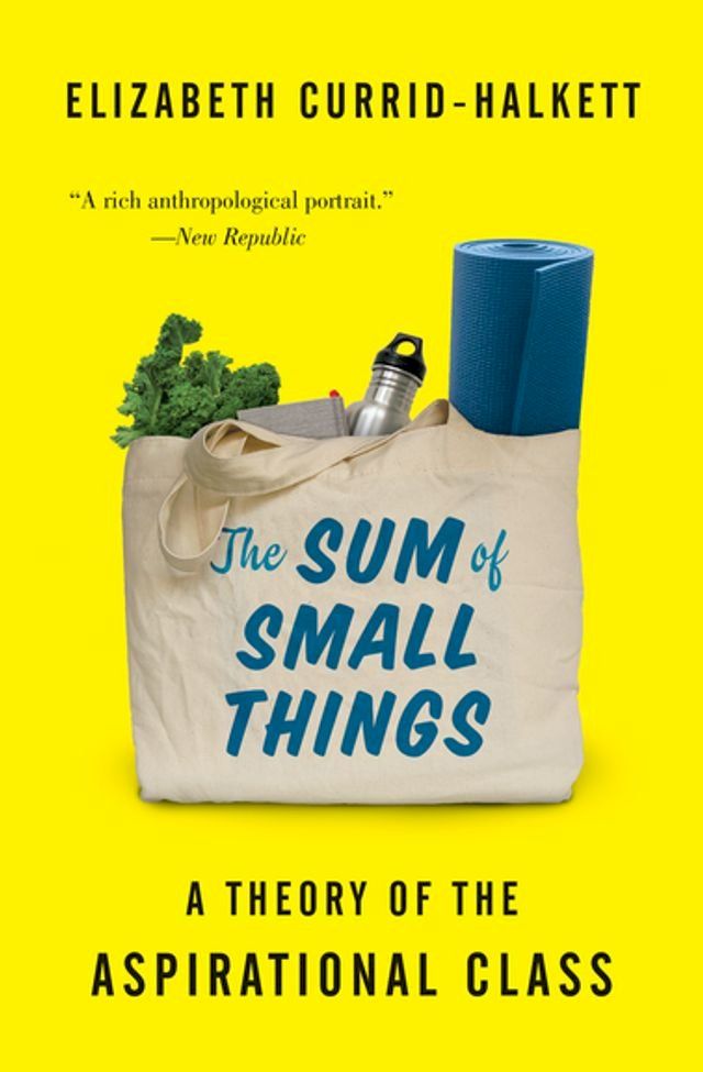  The Sum of Small Things(Kobo/電子書)