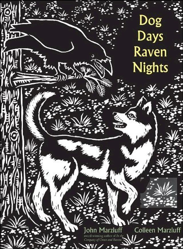  Dog Days, Raven Nights(Kobo/電子書)