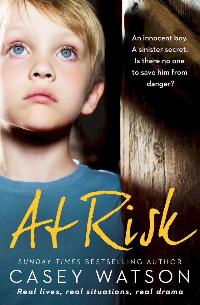  At Risk: An innocent boy. A sinister secret. Is there no one to save him from danger?(Kobo/電子書)