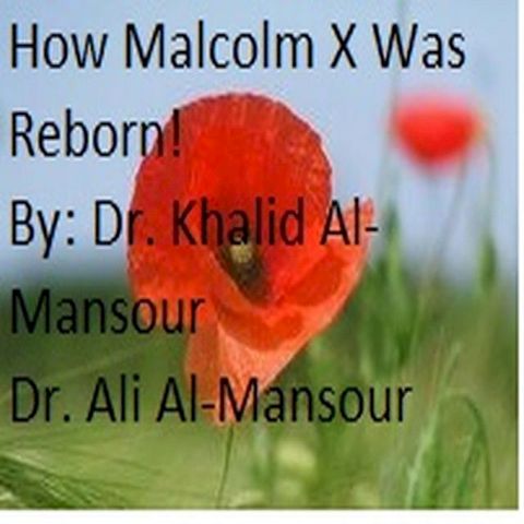 How Malcolm X Was Reborn!(Kobo/電子書)