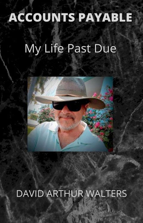 Accounts Payable - My Life Past Due(Kobo/電子書)