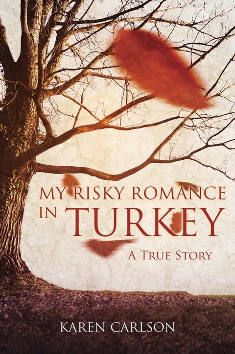 My Risky Romance in Turkey(Kobo/電子書)