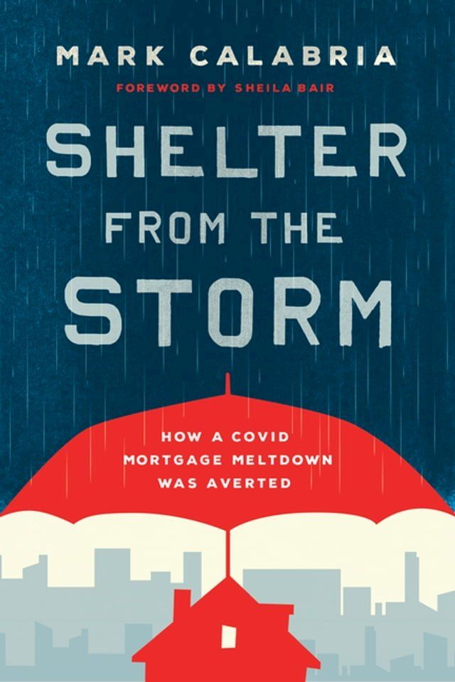  Shelter from the Storm(Kobo/電子書)