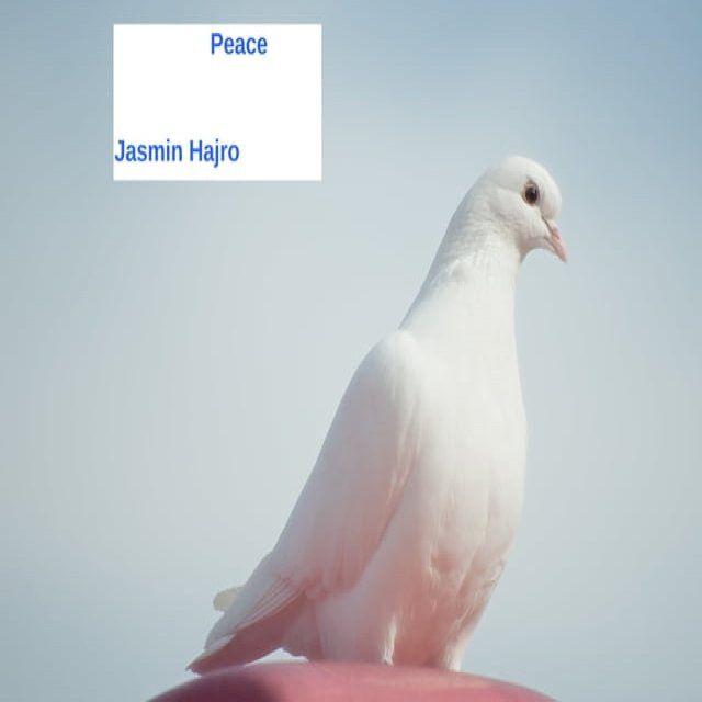  Peace(Kobo/電子書)