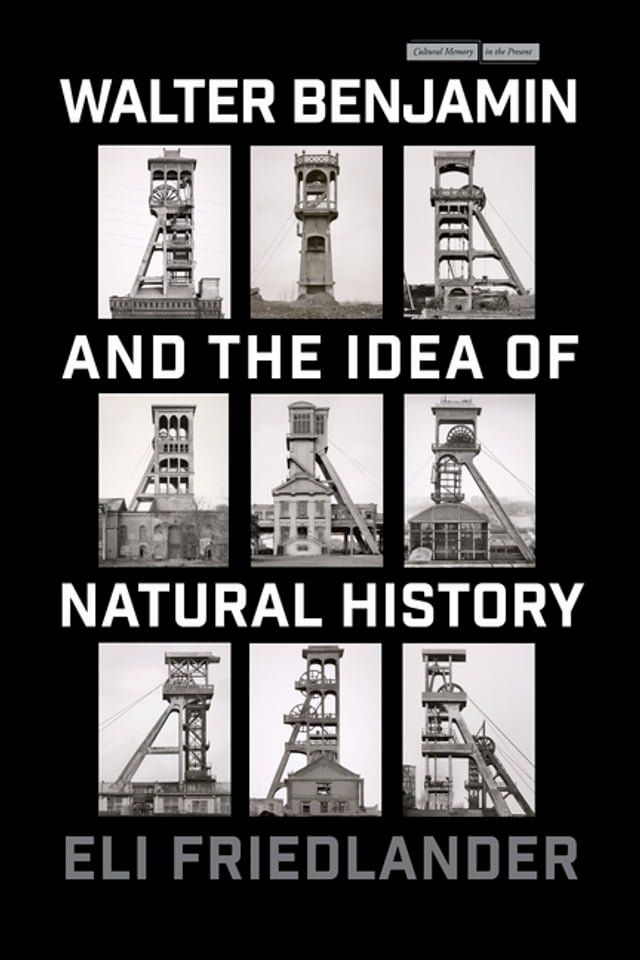  Walter Benjamin and the Idea of Natural History(Kobo/電子書)