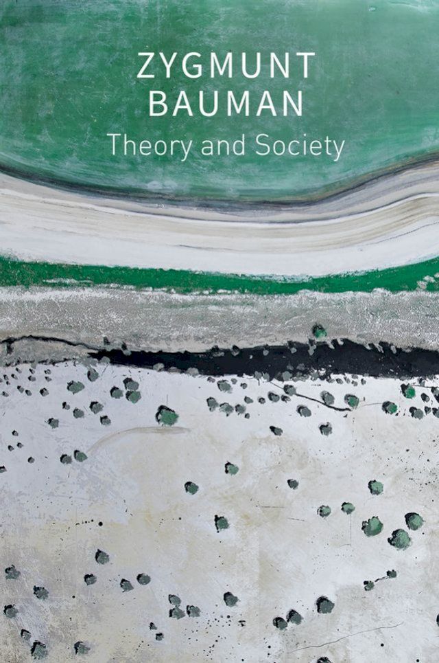  Theory and Society(Kobo/電子書)