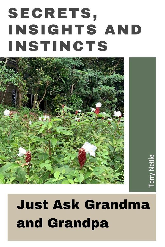  Secrets, Insights and Instincts: Just Ask Grandma and Grandpa(Kobo/電子書)