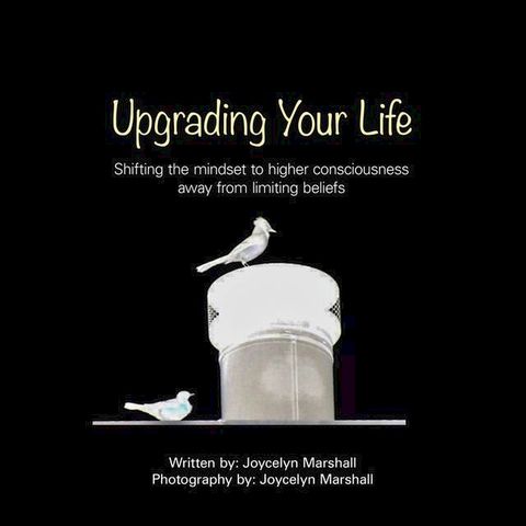 Upgrading Your Life(Kobo/電子書)