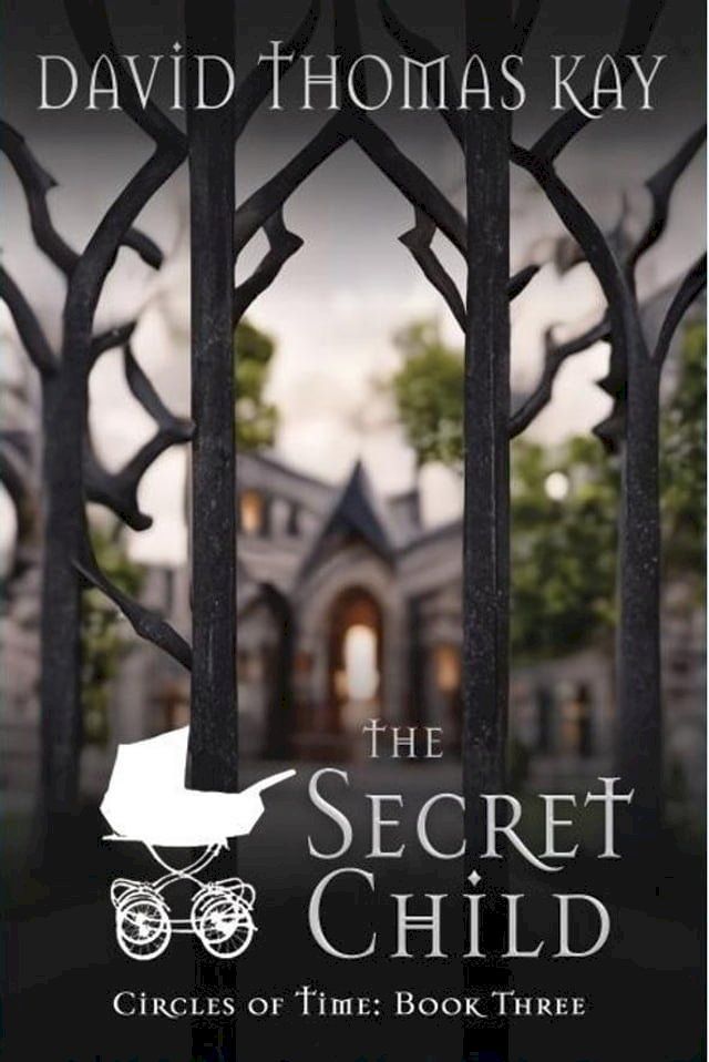  The Secret Child(Kobo/電子書)