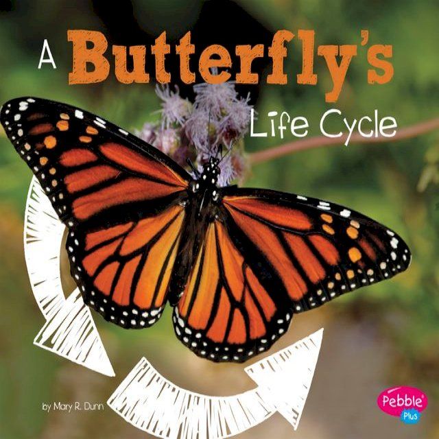  A Butterfly's Life Cycle(Kobo/電子書)