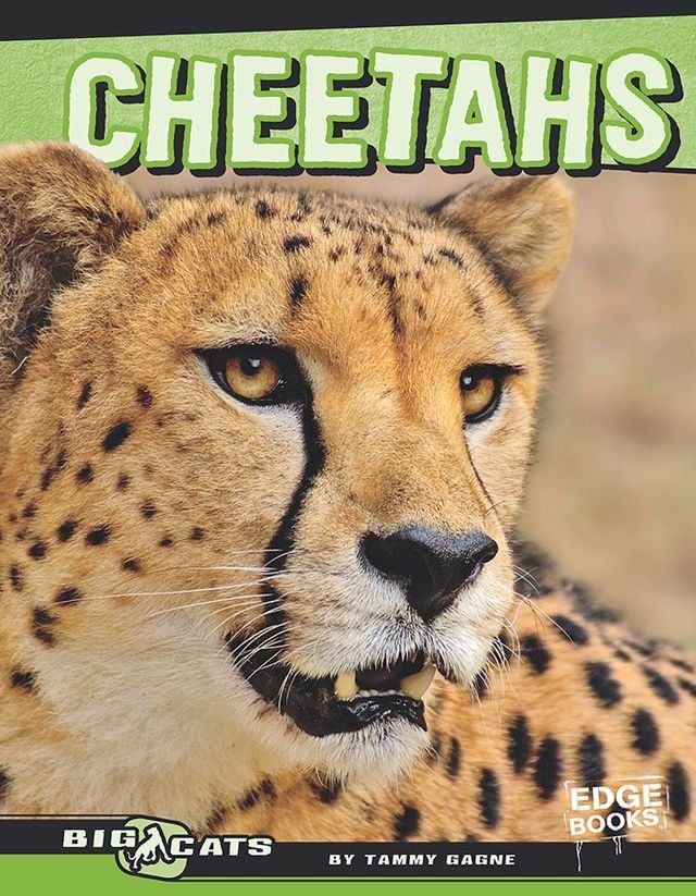  Cheetahs(Kobo/電子書)