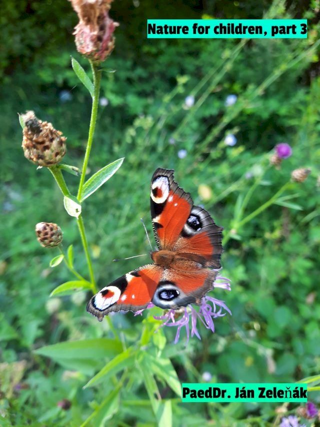  Butterfly(Kobo/電子書)