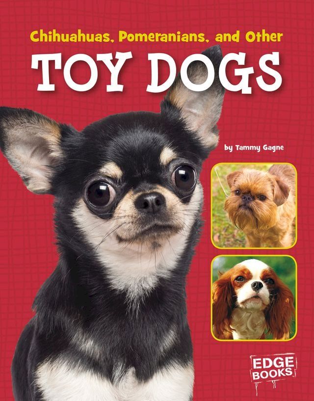  Chihuahuas, Pomeranians, and Other Toy Dogs(Kobo/電子書)