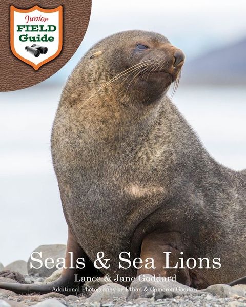 Seals & Sea Lions(Kobo/電子書)