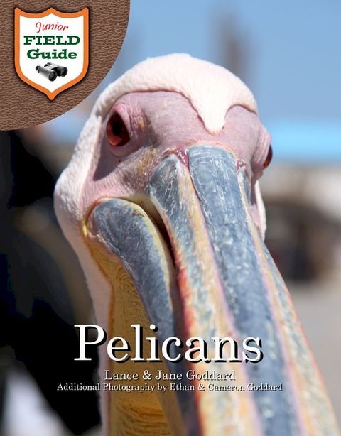 Pelicans(Kobo/電子書)