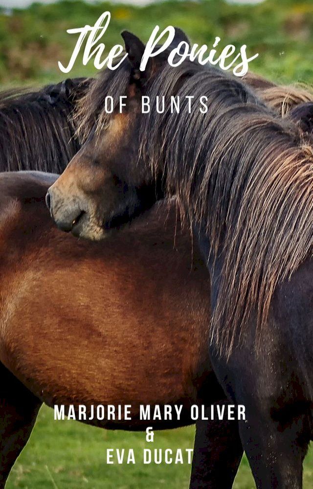  The Ponies of Bunts(Kobo/電子書)