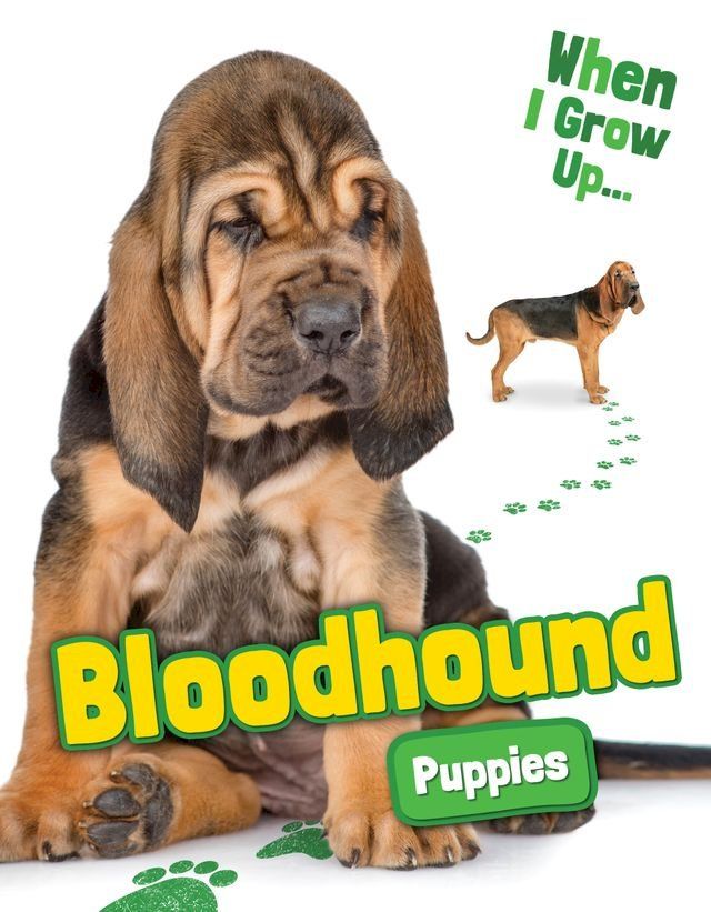  Bloodhound Puppies(Kobo/電子書)