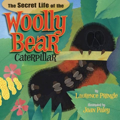 The Secret Life of the Woolly Bear Caterpillar(Kobo/電子書)