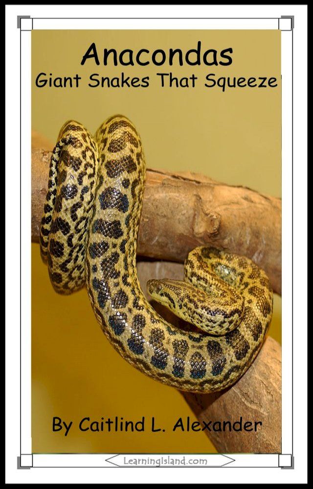  Anacondas: Huge Snakes That Squeeze(Kobo/電子書)