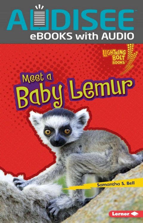 Meet a Baby Lemur(Kobo/電子書)