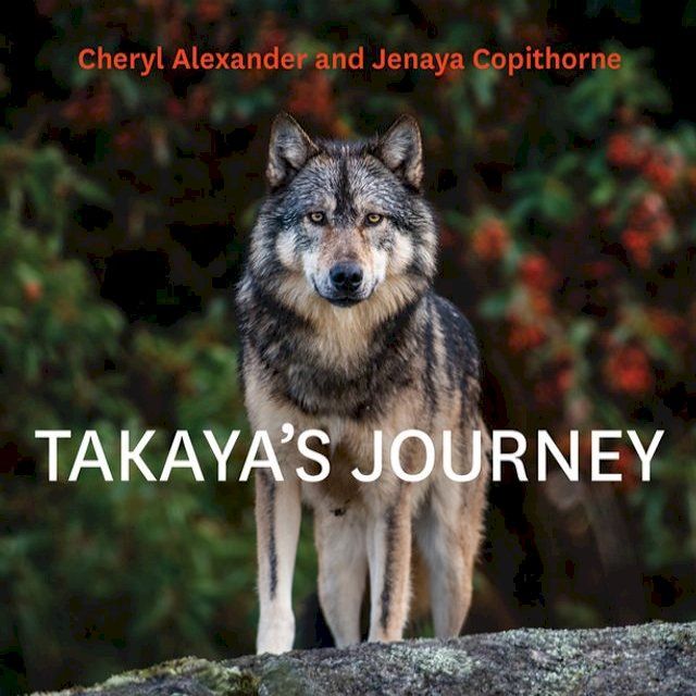  Takaya's Journey(Kobo/電子書)