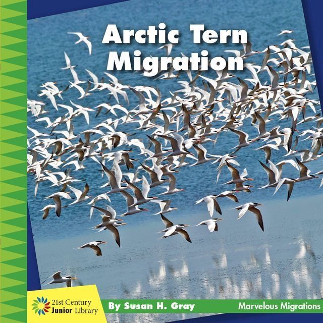  Arctic Tern Migration(Kobo/電子書)