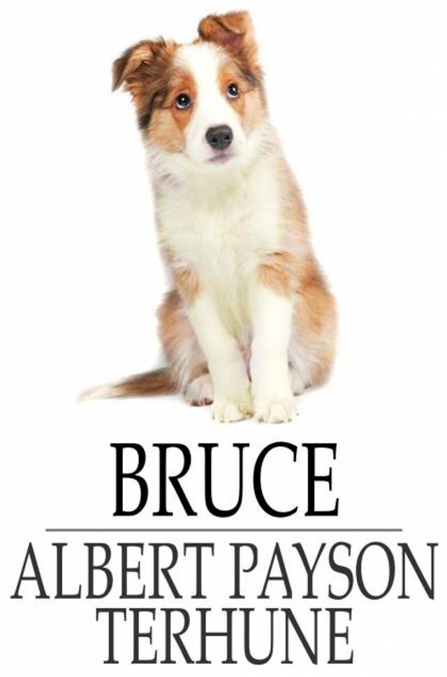  Bruce(Kobo/電子書)